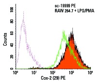 Cox-2 (29) PE: sc-19999 PE. Intracellular FCM analysis of fixed and permeabilized control (green line histogram) and LPS/PMA-induced (solid orange histogram) RAW 264.7 cells. Dotted pink histogram represents the isotype control, normal mouse IgG<sub>1</sub>: sc-2866.