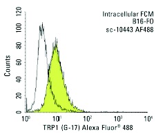 TRP1 (G-17) Alexa Fluor 488: sc-10443 AF488. Intracellular FCM analysis of fixed and permeabilized B16-FO cells. Black line histogram represents the isotype control, normal goat IgG: sc-45067.