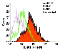 IL-8RB (K-19) PE: sc-683 PE. Intracellular FCM analysis of fixed and permeabilized non-transfected (green line histogram) and IL-8RB transfected (solid orange histogram) CHO-K1 cells. Dotted pink histogram represents the isotype control, normal rabbit IgG: sc-3871.
