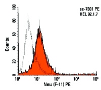 Neu (F-11) PE: sc-7301 PE. Intracellular FCM analysis of fixed and permeabilized HEL 92.1.7 cells. Black line histogram represents the isotype control, normal mouse IgG<sub>2a</sub>: sc-2867.