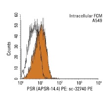 PSR (APSR-14.4) PE: sc-32740 PE. Intracellular FCM analysis of fixed and permeabilized A549 cells. Black line histogram represents the isotype control, normal Armenian hamster IgG: sc-2875.