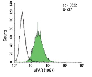 uPAR (10G7): sc-13522. Indirect FCM analysis of U-937 cells stained with uPAR (10G7), followed by FITC-conjugated goat anti-mouse IgG: sc-2010. Black line histogram represents the isotype control, normal mouse IgG: sc-2025.