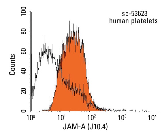 JAM-A (J10.4): sc-53623. Indirect FCM analysis of human platelets stained with JAM-A (J10.4), followed by PE-conjugated goat anti-mouse IgG<sub>1</sub>: sc-3738. Black line histogram represents the isotype control, normal mouse IgG<sub>1</sub>: sc-3770.