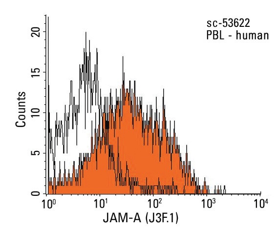 JAM-A (J3F.1): sc-53622. Indirect FCM analysis of human peripheral blood leukocytes stained with JAM-A (J3F.1), followed by PE-conjugated goat anti-mouse IgG: sc-3738. Black line histogram represents the isotype control, normal mouse IgG<sub>1</sub>: sc-3877.