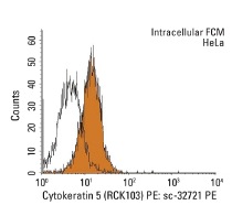 Cytokeratin 5 (RCK103) PE: sc-32721 PE. Intracellular FCM analysis of fixed and permeabilized HeLa cells. Black line histogram represents the isotype control, normal mouse IgG<sub>1</sub>: sc-2866.