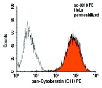 pan-Cytokeratin (C11) PE: sc-8018 PE. Intracellular FCM analysis of fixed and permeabilized HeLa cells. Black line histogram represents the isotype control, normal mouse IgG<sub>1</sub>: sc-2866.