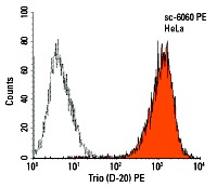 Trio (D-20) PE: sc-6060 PE. Intracellular FCM analysis of fixed and permeabilized HeLa cells. Black line histogram represents the isotype control, normal goat IgG: sc-3992.
