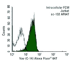 Vav (C-14) Alexa Fluor 647: sc-132 AF647. Intracellular FCM analysis of fixed and permeabilized Jurkat cells. Black line histogram represents the isotype control, normal rabbit IgG: sc-24647.