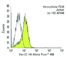 Vav (C-14) Alexa Fluor 488: sc-132 AF488. Intracellular FCM analysis of fixed and permeabilized Jurkat cells. Black line histogram represents the isotype control, normal rabbit IgG: sc-45068.