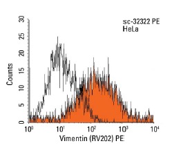 Vimentin (RV202) PE: sc-32322 PE. Intracellular FCM analysis of fixed and permeabilized HeLa cells. Black line histogram represents the isotype control, normal mouse IgG<sub>1</sub>: sc-2866.