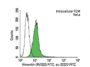 Vimentin (RV202) FITC: sc-32322 FITC. Intracellular FCM analysis of fixed and permeabilized HeLa cells. Black line histogram represents the isotype control, normal mouse IgG<sub>1</sub>: sc-2855.