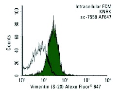 Vimentin (S-20) Alexa Fluor 647: sc-7558 AF647. Intracellular FCM analysis of fixed and permeabilized KNRK cells. Black line histogram represents the isotype control, normal goat IgG: sc-45066.