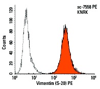Vimentin (S-20) PE: sc-7558 PE. Intracellular FCM analysis of fixed and permeabilized KNRK cells. Black line histogram represents the isotype control, normal goat IgG: sc-3992.