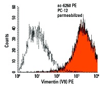 Vimentin (V9) PE: sc-6260 PE. Intracellular FCM analysis of fixed and permeabilized PC-12 cells. Black line histogram represents the isotype control, normal mouse IgG<sub>1</sub>: sc-2866.