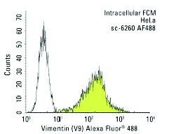 Vimentin (V9) Alexa Fluor 488: sc-6260 AF488. Intracellular FCM analysis of fixed and permeabilized HeLa cells. Black line histogram represents the isotype control, normal mouse IgG<sub>1</sub>: sc-3890.