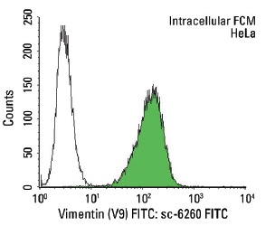 Vimentin (V9) FIT: sc-6260 FITC. Intracellular FCM analysis of fixed and permeabilized HeLa cells. Black line histogram represents the isotype control, normal mouse IgG<sub>1</sub>: sc-2855.