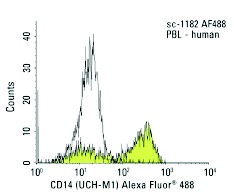 CD14 (UCH-M1) Alexa Fluor 488: sc-1182 AF488. FCM analysis of human peripheral blood leukocytes. Black line histogram represents the isotype control, normal mouse IgG<sub>1</sub>: sc-3891.