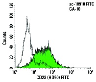 CD23 (HD50) FITC: sc-18910 FITC. FCM analysis of GA-10 cells. Black line histogram represents the isotype control, normal mouse IgG<sub>2b</sub>: sc-2857.
