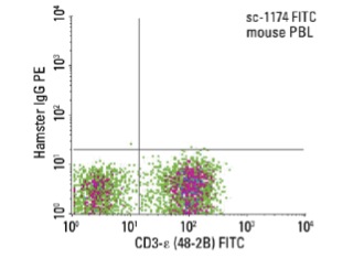 CD3-ε (48-2B) FITC: sc-1174 FITC. FCM analysis of mouse peripheral blood leukocytes. Quadrant markers were set based on the isotype control, normal Armenian hamster IgG: sc-2864.