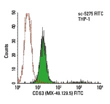 CD63 (MX-49.129.5) FITC: sc-5275 FITC. FCM analysis of THP-1 cells. Black line histogram represents the isotype control, normal mouse IgG<sub>1</sub>: sc-2855.