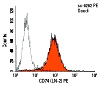 CD74 (LN-2) PE: sc-6262 PE. FCM analysis of Daudi cells. Black line histogram represents the isotype control, normal mouse IgG<sub>1</sub>: sc-2866.