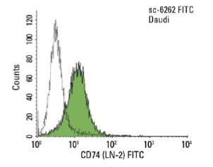 CD74 (LN-2) FITC: sc-6262 FITC. FCM analysis of Daudi cells. Black line histogram represents the isotype control, normal mouse IgG<sub>1</sub>: sc-2855.
