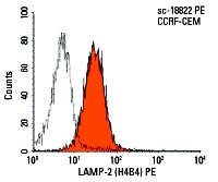 LAMP-2 (H4B4) PE: sc-18822 PE. FCM analysis of CCRF-CEM cells. Black line histogram represents the isotype control, normal mouse IgG<sub>1</sub>: sc-2866.