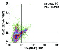 Ox40 (BER-Act35) PE: sc-20073 PE. FCM analysis of human peripheral blood leukocytes stained with Ox40 (BER-Act35) PE and CD4 (18-46) FITC: sc-1176 FITC. Quadrant markers were set based on the isotype controls, normal mouse IgG<sub>1</sub>: sc-2866 and normal mouse IgG<sub>2b</sub>: sc-2857.