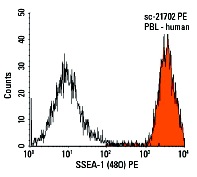 SSEA-1 (480) PE: sc-21702 PE. FCM analysis of human peripheral blood leukocytes. Black line histogram represents the isotype control, normal mouse IgM: sc-2870.