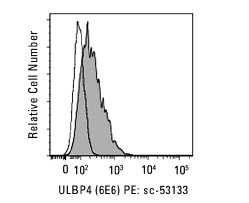ULBP4 (6E6): sc-53133. Indirect FCM analysis of Mel mock (black line histogram) and Mel-ULBP4 transfectants (solid histogram) stained with ULBP4 (6E6) followed by PE-conjugated goat anti-mouse IgG. Kindly provided by Nobuyoshi Hanaoka and Veronika Groh at Fred Hutchinson Cancer Research Center.