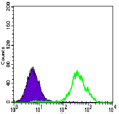 Flow cytometric analysis of HeLa cells labeling ATP citrate lyase with ab140664 at 1/200 dilution (green; negative control (purple).