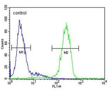 Flow cytometric analysis of HepG2 cells labelling ATP7b with ab135571 at 1/10 dilution (green) compared to a negative control cell (blue). FITC-conjugated goat-anti-rabbit secondary antibodies were used for the analysis.