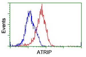 ab128529, at 1/100 dilution staining ATRIP in HeLa cells (Red) compared to a nonspecific negative control (Blue) by flow cytometry.
