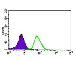 Flow cytometric analysis of HepG2 cells labeling ABCG5 using ab175370 at 1/200 dilution (green) and negative control (purple).