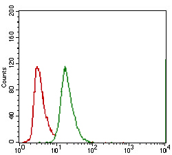 Flow cytometric analysis of A549 cells labeling ABCG5 with ab175421 at 1/200 dilution (green) and negative control (red).