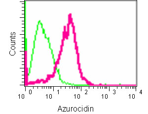 Flow cytometric analysis of 2% paraformaldehyde-fixed HUVEC cells labeling Azurocidin using ab181989 at a 1/40 dilution, or rabbit monoclonal IgG as isotype control. Secondary antibody used was goat anti rabbit IgG (FITC) at a 1/150 dilution.