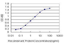 ab54814, staining recombinant tagged BACH1.3 by capture ELISA. The detection limit is approximately 0.03ng/ml as a capture antibody.