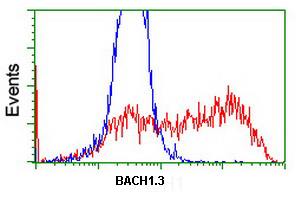 ab128486 at 1/100 dilution staining BACH1.3 in HEK293T cells transfected with either pCMV6-ENTRY BACH1.3 (Red) or empty vector control plasmid (Blue) by Flow Cytometry.