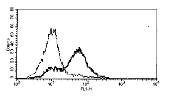 Ab16082 detects membrane-bound human BAFF by FACS.Method: HEK 293T cells (5 x 10e5) were mock transfected (thin line) or transfected with an expression plasmid enabling surface expression of full length hBAFF (thick line). Cells were incubated on ice for 30min in 50μl FACS buffer (PBS, 5% fetal calf serum, 0.02% azide) containing 1µg/ml of ab16082. After washing, cells were analyzed by flow cytometry.