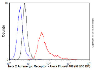 Overlay histogram showing SHSY-5Y cells stained with ab125150 (red line). The cells were fixed with 80% methanol (5 min) and incubated in 1x PBS / 10% normal goat serum / 0.3M glycine to block non-specific protein-protein interactions. The cells were then incubated with the antibody (ab125150, 0.1μg/1x106 cells) for 30 min at 22°C. The secondary antibody used was Alexa Fluor® 488 goat anti-mouse IgG (H&L) (ab150113) at 1/2000 dilution for 30 min at 22°C. Isotype control antibody (black line) was mouse IgG1 [ICIGG1] (ab91353, 1μg/1x106 cells) used under the same conditions. Unlabelled sample (blue line) was also used as a control. Acquisition of >5,000 events were collected using a 20mW Argon ion laser (488nm) and 525/30 bandpass filter. This antibody gave a positive result in 4% paraformaldehyde (10 min) fixed SHSY-5Y cells used under the same conditions. Please note that Abcam do not have any data for use of this antibody on non-fixed cells. We welcome any customer feedback.
