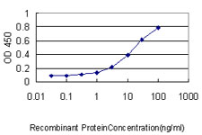 Detection limit for recombinant tagged Bif is approximately 0.3 ng/ml as a capture antibody.
