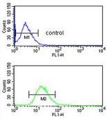 Flow cytometric analysis of HepG2 cells (bottom histogram) compared to a negative control cell (top histogram) using ab174929 at 1/10 dilution. FITC-conjugated goat-anti-rabbit secondary antibodies were used for the analysis.