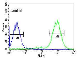 Flow cytometric analysis of HepG2 cells (right histogram) compared to a negative control cell (left histogram) labeling C19orf21 with ab175101 at 1/10 dilution. FITC-conjugated goat-anti-rabbit secondary antibodies were used for the analysis.