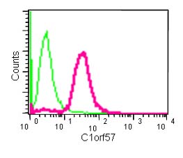 Flow cytometric analysis of Jurkat cells (paraformaldehyde-fixed, 2%) labeling C1orf57 with ab182154 at 1/230 dilution (red) or a rabbit IgG (negative) (green), followed by Goat anti rabbit IgG (FITC) secondary at 1/150 dilution.