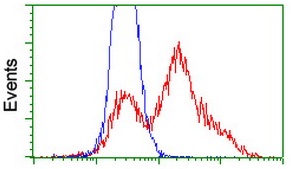 HEK293T cells transfected with either C2orf40 (Red) or empty vector control (Blue) were immunostained by ab119079 at a dilution of 1/100, then analyzed by flow cytometry.