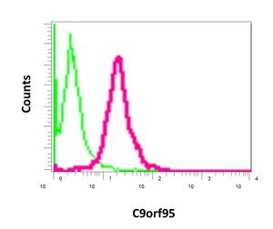 Flow cytometric analysis of permeabilized HT-29 cells labeling C9orf95 with ab169548 at 1/10 dilution (red) compared a rabbit IgG negative control (green).