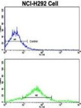 Flow Cytometry of analysis NCI-H292 cells using ab189965 at a 1/10 dilution (bottom histogram) compared to a negative control cell (top histogram). FITC-conjugated goat-anti-rabbit secondary antibodies were used for the analysis.