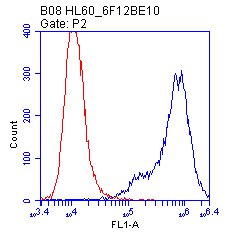 ab112995 at 1µg/ml staining Calnexin - ER membrane marker in HL60 cells fixed with MeOH by Flow Cytometry (blue). Isotype control antibody (red).