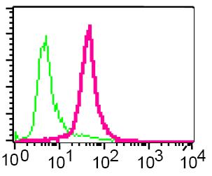 Flow cytometric analysis of permeabilized HeLa cells using ab75994 (red) or a rabbit IgG (negative) (green).