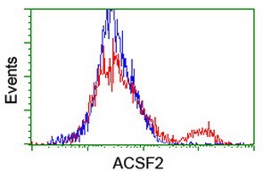 ab128527, at 1/100 dilution staining ACSF2 in HEK293T cells transfected with either pCMV6-ENTRY ACSF2 overexpress plasmid (Red) or empty vector control plasmid (Blue) by flow cytometry.